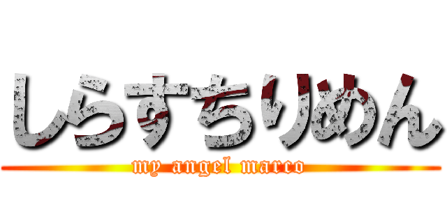 しらすちりめん (my angel marco)