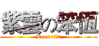 紫雲の笨恆 (Boss 　小阿呆)