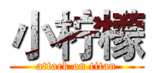 小柠檬 (attack on titan)