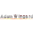 Ａｄａｍ Ｗｉｎｇａｒｄ (Producer)