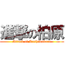 進撃の柏原 (Attack of Kashiwabara)