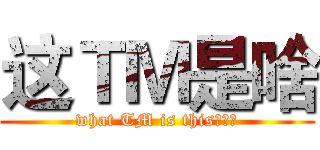 这ＴＭ是啥 (what TM is this？超过)