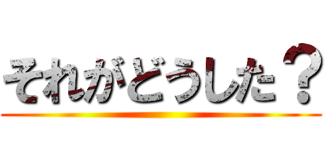それがどうした？ ()