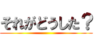 それがどうした？ ()
