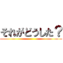 それがどうした？ ()