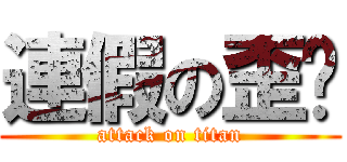 連假の歪姊 (attack on titan)