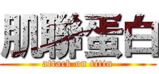 肌聯蛋白 (attack on titin)