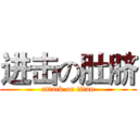 进击の肚脐 (attack on titan)