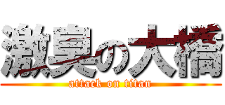 激臭の大橋 (attack on titan)