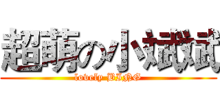 超萌の小斌斌 (lovely BING)