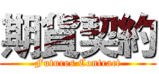 期貨契約 (Futures Contract)