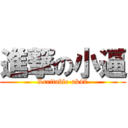 進撃の小逼 (Lrritable-ak47)