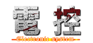 電  控 (Electronic system)
