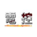 電  控 (Electronic system)