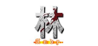 林 (A n d y)