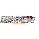 屁梁你在哭？ (attack on titan)