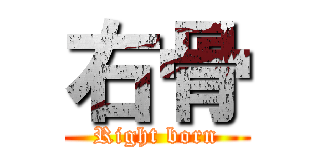 右骨 (Right born)