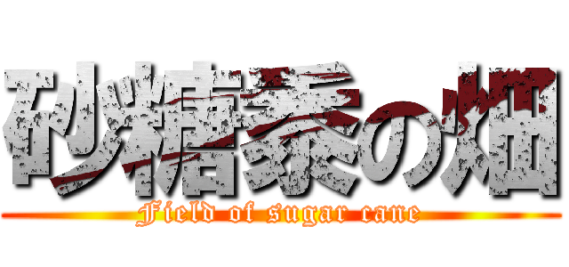 砂糖黍の畑 (Field of sugar cane)