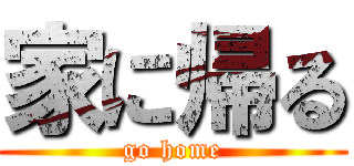 家に帰る (go home)