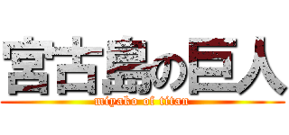 宮古島の巨人 (miyako of titan)