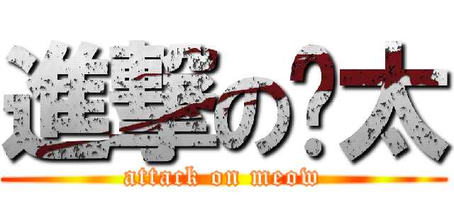 進撃の喵太 (attack on meow)