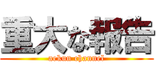 重大な報告 (aekun channel)