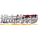 进击的漆萝 (attack on titan)