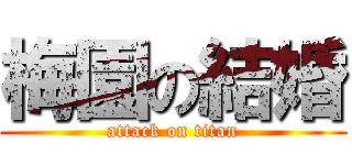 梅園の結婚 (attack on titan)