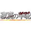 寂寞の羊驼 (Lonely alpaca)