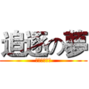 追逐の夢 (喬巴軍壘球隊)