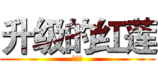 升级的红莲 (天知道)