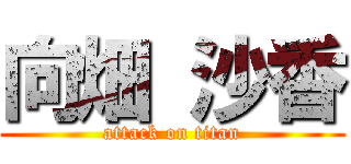 向畑 沙香 (attack on titan)