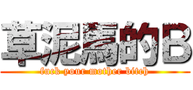 草泥馬的Ｂ (fuck your mother bitch)