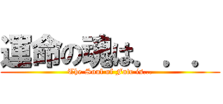 運命の魂は．．． (The Soul of Fate is...)