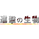 進 擊 の 生 物 (attack on titan)