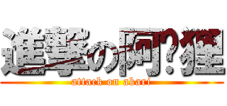 進撃の阿卡狸 (attack on akari)