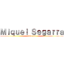 Ｍｉｑｕｅｌ Ｓｅｇａｒｒａ (callate puta)