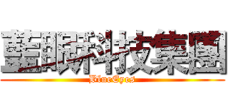 藍眼科技集團 (BlueEyes)