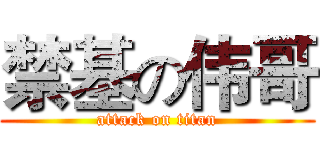 禁基の伟哥 (attack on titan)