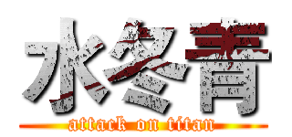 水冬青 (attack on titan)