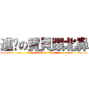 進擊の寶貝跟北鼻 (attack on titan)