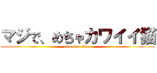 マジで、めちゃカワイイ猫 (attack on titan)