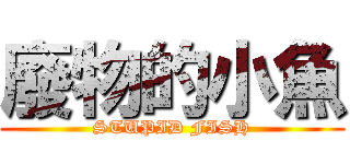 廢物的小魚 (STUPID FISH)