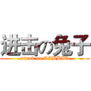 进击の兔子 (attack on RABBIT)