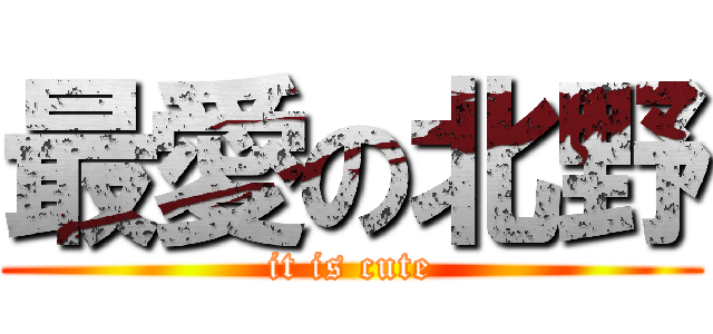 最愛の北野 (it is cute)