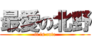 最愛の北野 (it is cute)