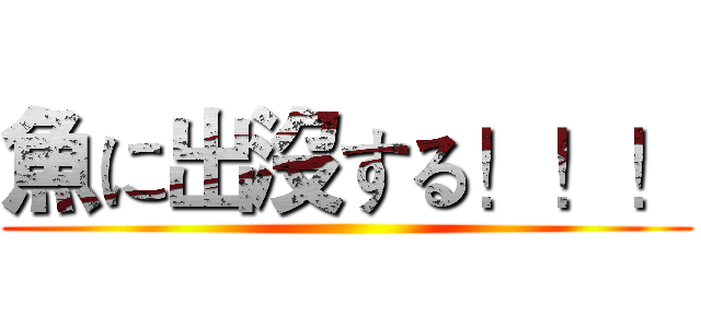 魚に出沒する！！！ ()