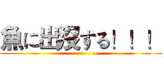 魚に出沒する！！！ ()