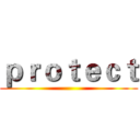 ｐｒｏｔｅｃｔ ()