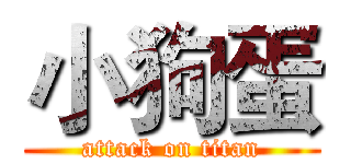 小狗蛋 (attack on titan)